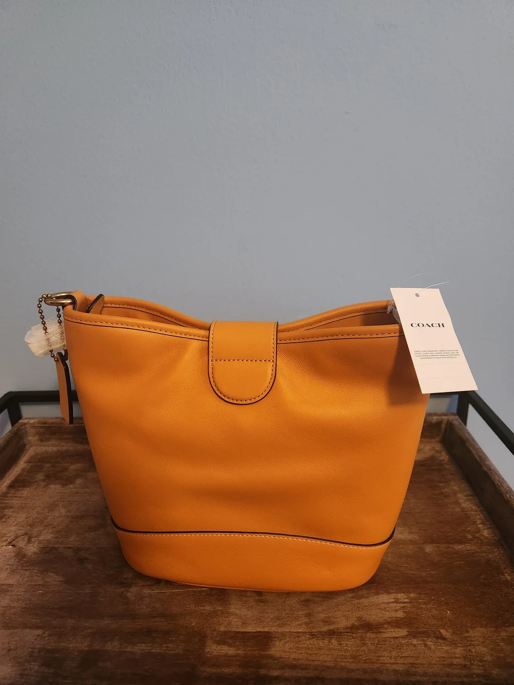 Coach TALI BUCKET BAG IN PAPAYA NWT